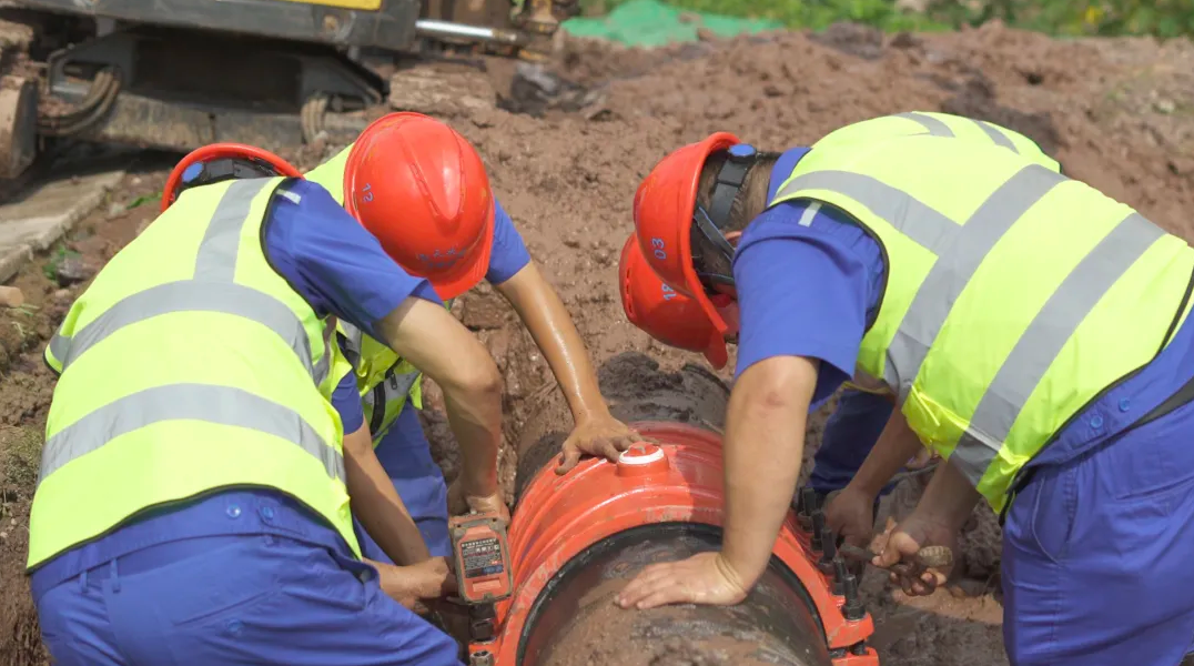 企业微信截图_20251016165648