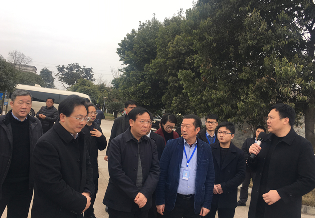 20190222074229_49960