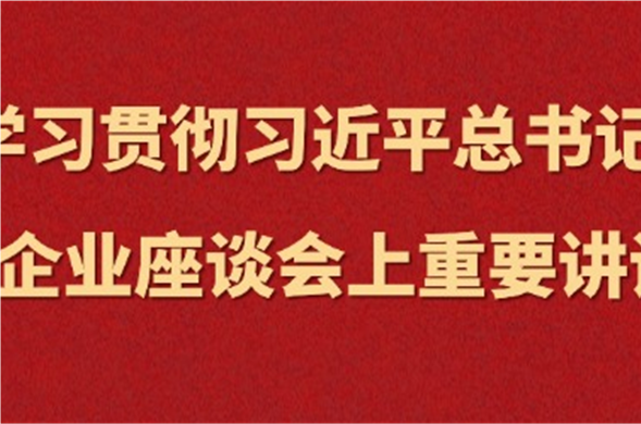 欧博ABG集团集中进建习近平总书记在民营企业座谈会上沉要讲话心灵